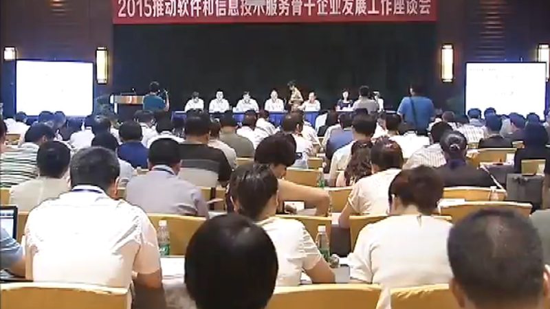 政府IT外包项目验收细则：关键要点与执行标准